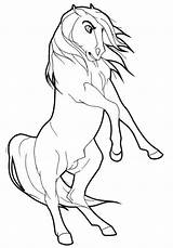 Spirit Stallion Getcolorings Cimarron  sketch template