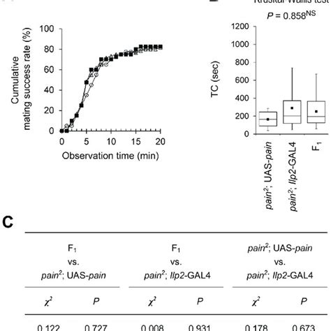 Pain Gal4 Drives Gfp Reporter Expression In The Female