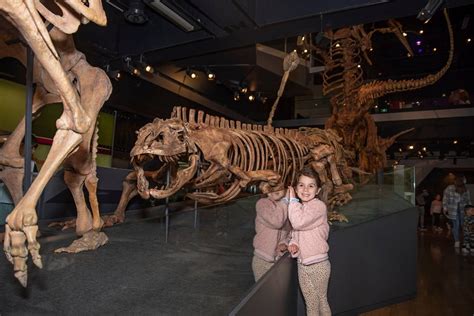 museums  melbourne  kids  families mums  explorers