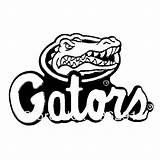Gators Florida Logo Gator Coloring sketch template