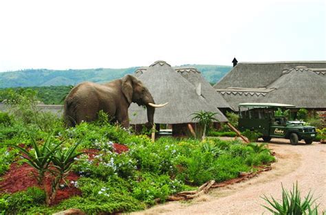 garden route tours private game reserve full day