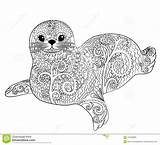 Zentangle Seal Coloring Baby Cute Adult Belek Style Mandala Illustration Pages Vector Choose Board Furry Dreamstime sketch template