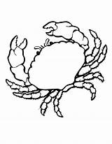 Crab Coloring Printable Pages Kids sketch template