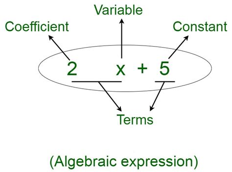 terms     algebraic expression geeksforgeeks