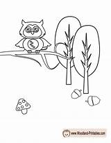 Coloring Woodland Pages Owl Animal Animals Printable Cute Getcolorings Printables Color sketch template