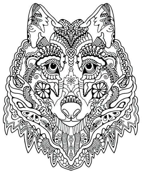 wild cat coloring pages  getcoloringscom  printable colorings