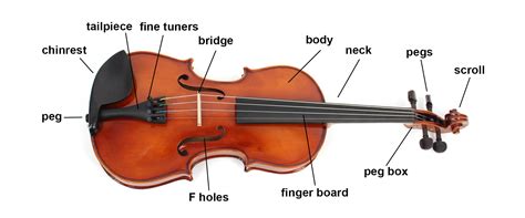 strings instruments spacotin