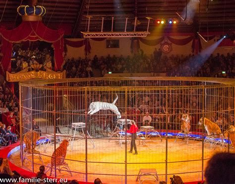 circus krone premiere  familie sterr