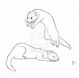 Ferret Coloring Pages Ferrets Funny Drawing Printable Deviantart Getcolorings Adult Realistic Colorings Getdrawings sketch template