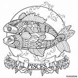 Coloring Pisces Zodiac Signs Pages Sign Book Vector Adult Horoscope Fotolia Color Printable Tattoo Adults Illustration Getcolorings Stencil Shutterstock Au sketch template