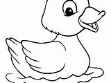 Duck Coloring Pages Baby Daisy Duckling Color Getcolorings Print Printable Clipartmag Drawing sketch template