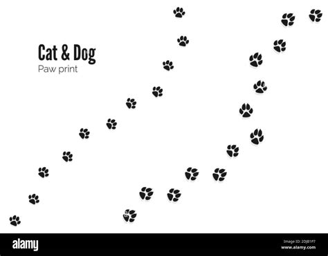 cat  dog paw print pets  animals paw trail vector illustration