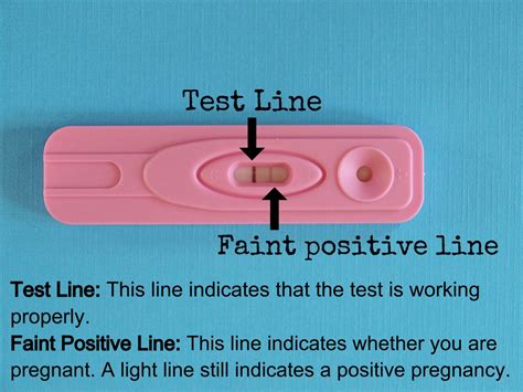 meaning  faint   pregnancy test pregnancywalls