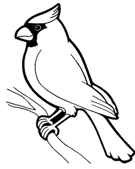 red cardinal coloring pages