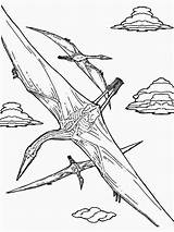 Coloring Pteranodon Flying Fish Pages Print Getcolorings Popular Printable Getdrawings Library Clipart Button Using Sketch Coloringhome sketch template