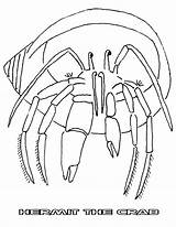 Coloring Crab Pages Hermit Sea Life Popular Coloringhome sketch template