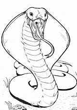 Snake Coloring Pages Drawing Easy Print Colouring Kids Tulamama Sketches Cobra sketch template
