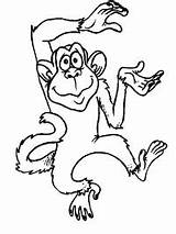 Kleurplaten Kleurplaat Apen Aap Affen Affe Malvorlage Topkleurplaat Malvorlagen Mewarnai Monkeys Ausmalbild Monyet Gekke Singe Coloriages Aapje Singes Swingende Dansende sketch template