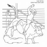 Bull Bucking Coloring Pages Drawing Rider Miniature Pencil Bronc Color Getdrawings Sketch Kids Template sketch template