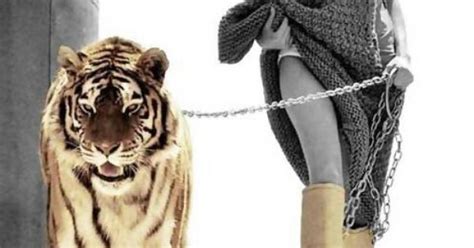 tigers on a gold leash my style pinterest feminine feelings and nature