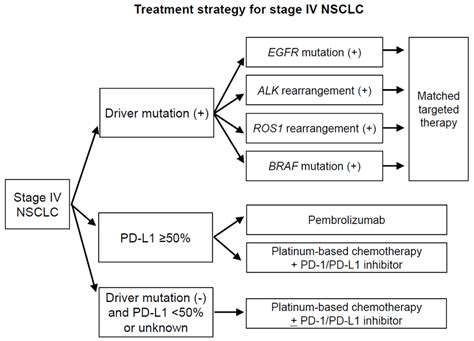 treatment strategy  stage iv  small cell lung cancer nsclc