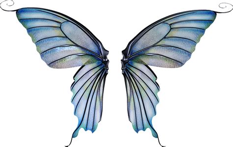 fairies clipart wing fairies wing transparent