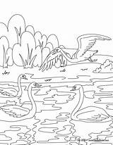 Duckling Ugly Coloring Pages Color Comments Getcolorings Coloringhome sketch template