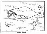 Coloring Greenland Coloriage Baleine 04kb 443px sketch template