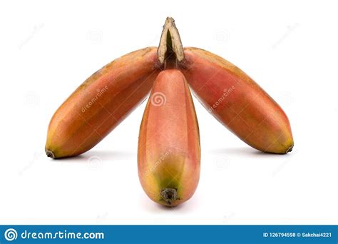 rote banane rotes dhaka rotweinbanane cavendish banane stockfoto