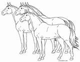 Ausmalbilder Pferde Malvorlagen Pferden Ausdrucken Kostenlos Ho Cool2bkids sketch template