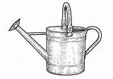 Watering Annaffiatoio Sprinkler Engraving Incisione Inchiostro Vettore Digitalized sketch template