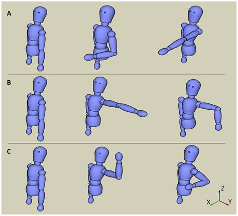 arm positions   arm position sequence   identified    scientific