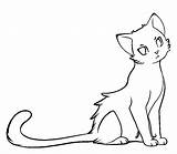 Warrior Cats Coloring Pages Cat Drawing Drawings Base Simple Choose Board Kawaii Manga sketch template