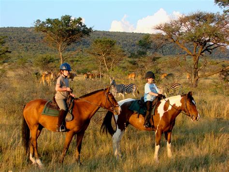 10 African Riding Safaris For Beginners To Expert Riders