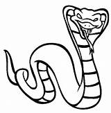 Cobra Venomous Garter Longest Clipartmag sketch template
