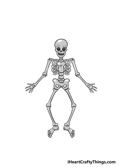skeleton drawing   draw  skeleton step  step