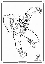 Spiderman Parker Gwen sketch template