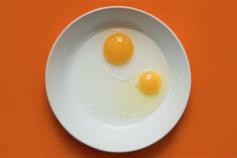 research reveals egg yolk   unhealthy  cigarettes tsm