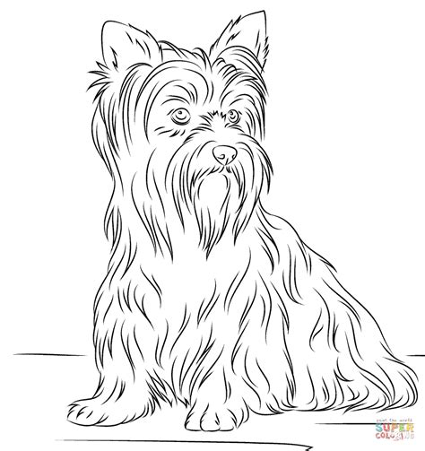dogs coloring pages  coloring pages dog coloring page puppy