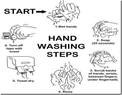 kitchen safety google search proper hand washing hand washing