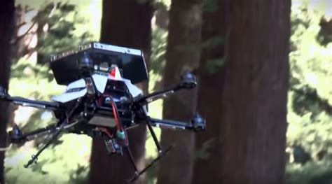 drone flies   forest  collision avoidance terabee