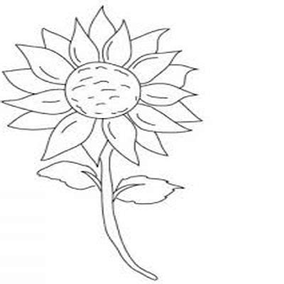 gambar bunga matahari  mewarnai