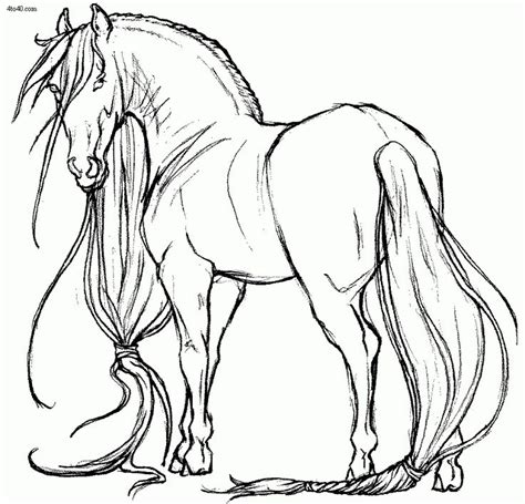grown ups coloring pages  realistic horse letscoloritcom horse coloring pages horse