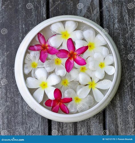 flowers  spa stock photo image  lifestyle aromatherapy