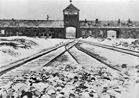 How The Nazis Tried To Cover Up Their Crimes At Auschwitz History In