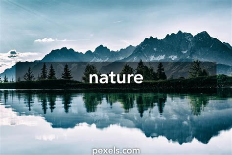 nature pexels