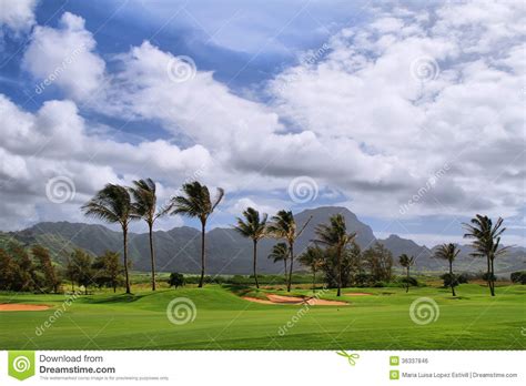 golfcursus  mahaulepusleep stock foto image  wolken strand