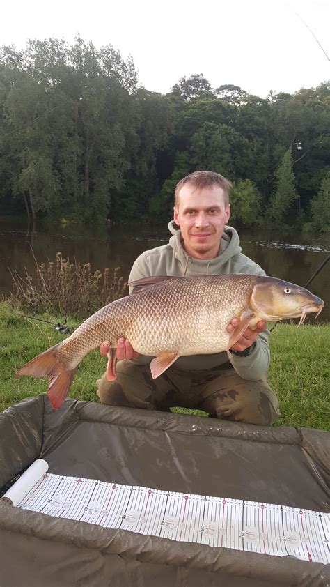 new river trent barbel record — angling times