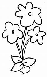 Coloring Flower Violet Pages Template Kids Preschool Blank Clipart Stem Flowers Drawings Stems Color Simple Cliparts Plant Printable Cute Templates sketch template