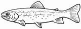Trout Brook Fish sketch template